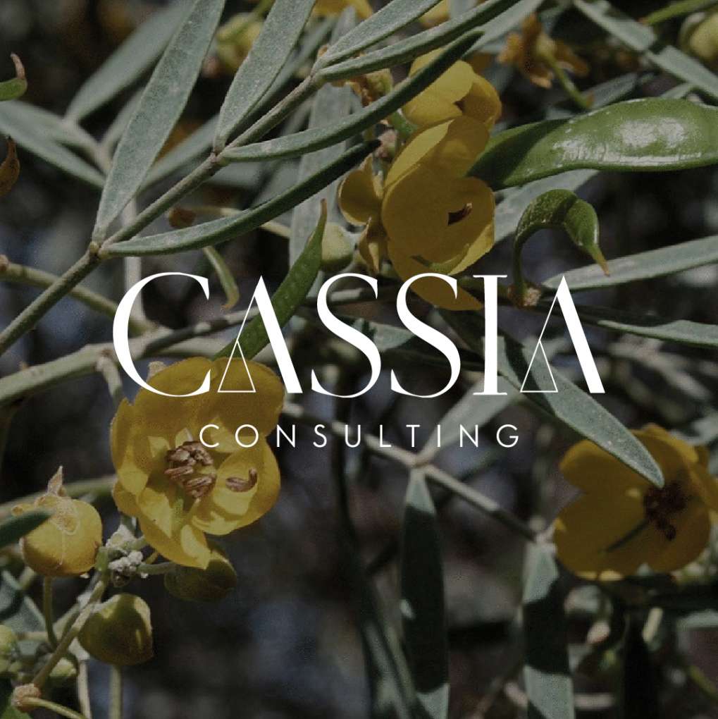 Логотип и фирменный стиль компании CASSIA Consulting, Дубаи